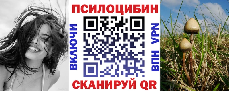 Галлюциногенные грибы GOLDEN TEACHER  ОМГ ОМГ рабочий сайт  Абинск 